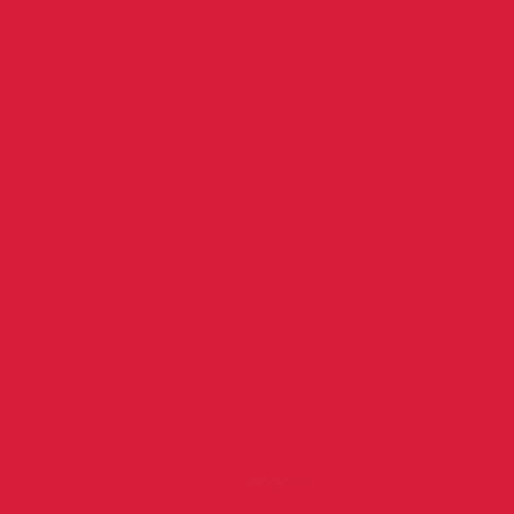 ACDELCO GM ORIGINAL EQUIPMENT - Paint - DCB - 19367911