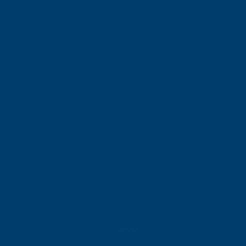 ACDELCO GM ORIGINAL EQUIPMENT - Paint - DCB - 19367953