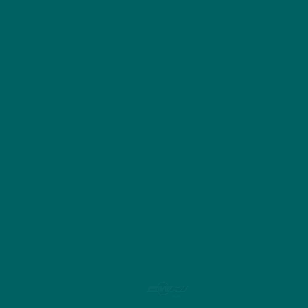 ACDELCO GM ORIGINAL EQUIPMENT - Paint - DCB - 19367885
