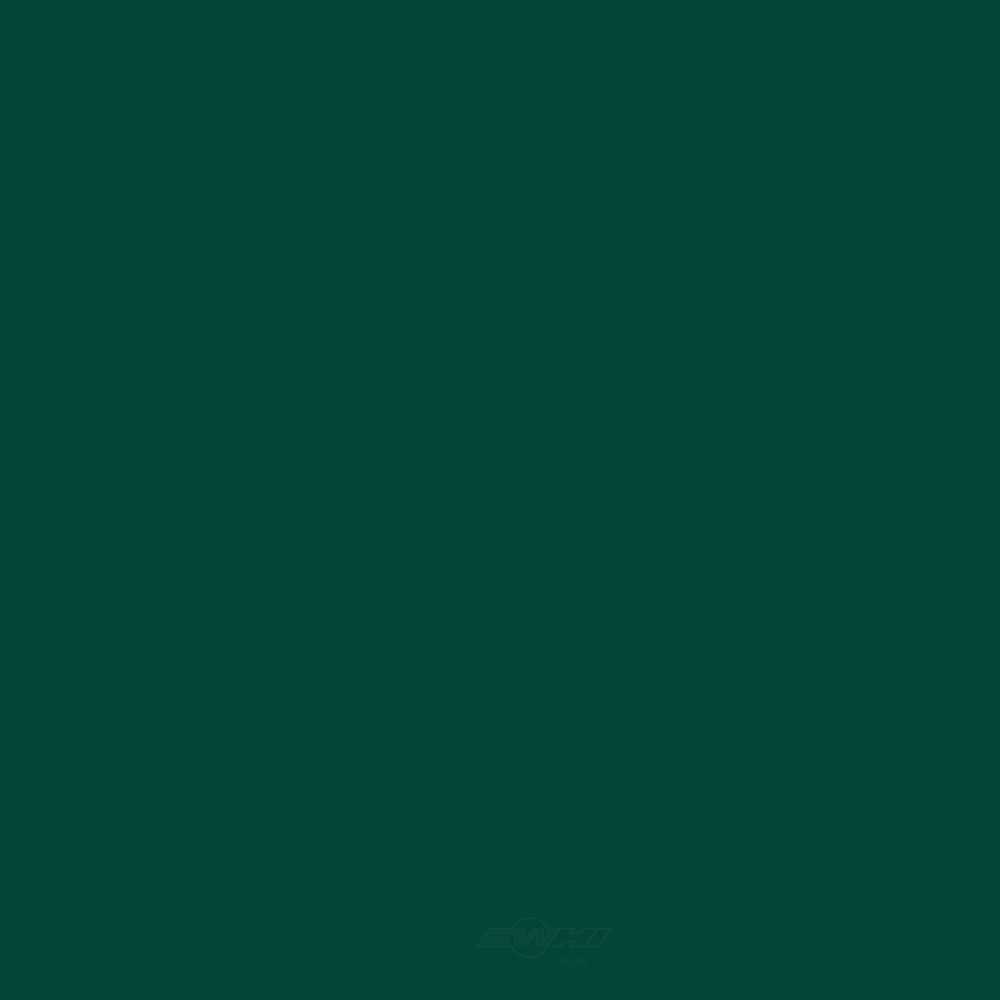 ACDELCO GM ORIGINAL EQUIPMENT - Paint - DCB - 19367922