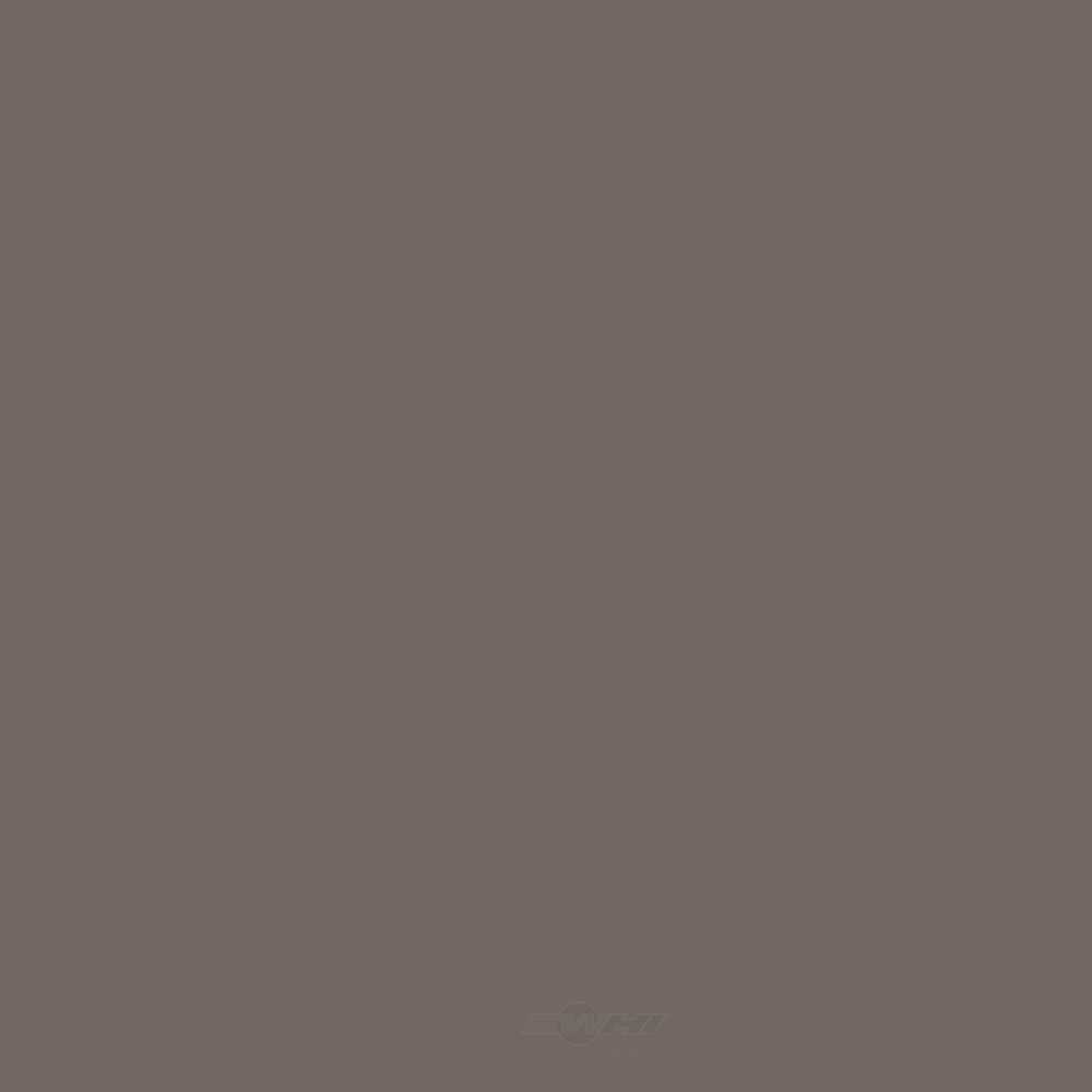 ACDELCO GM ORIGINAL EQUIPMENT - Paint - DCB - 19367935