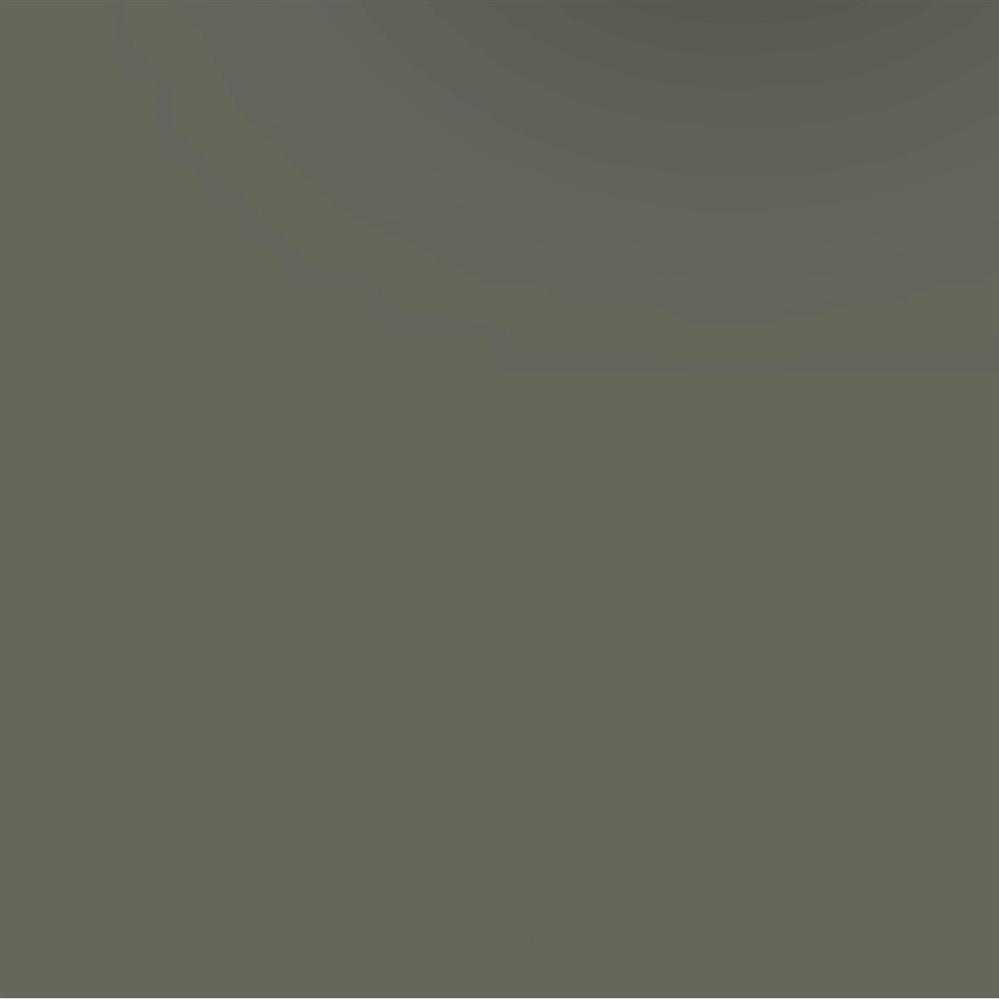 ACDELCO GM ORIGINAL EQUIPMENT - Paint - DCB - 19367919