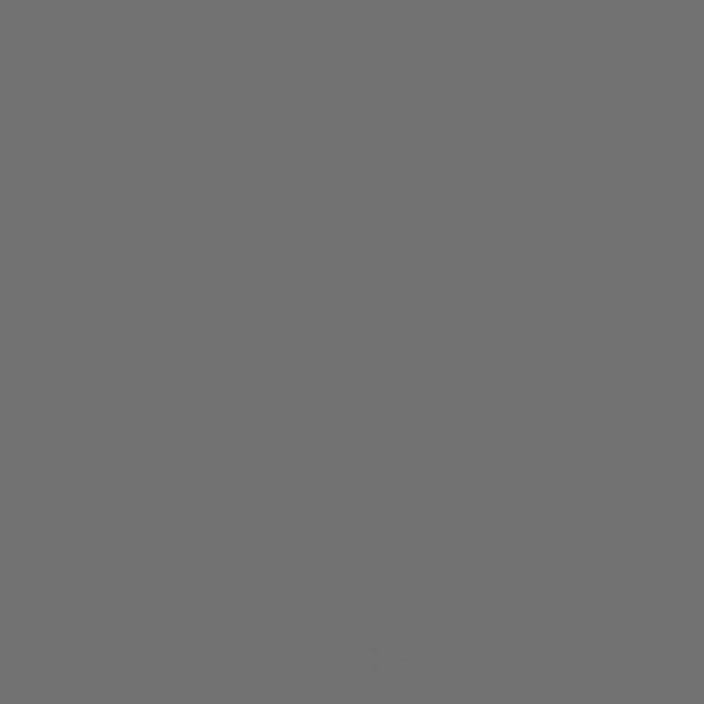 ACDELCO GM ORIGINAL EQUIPMENT - Paint - DCB - 19355052