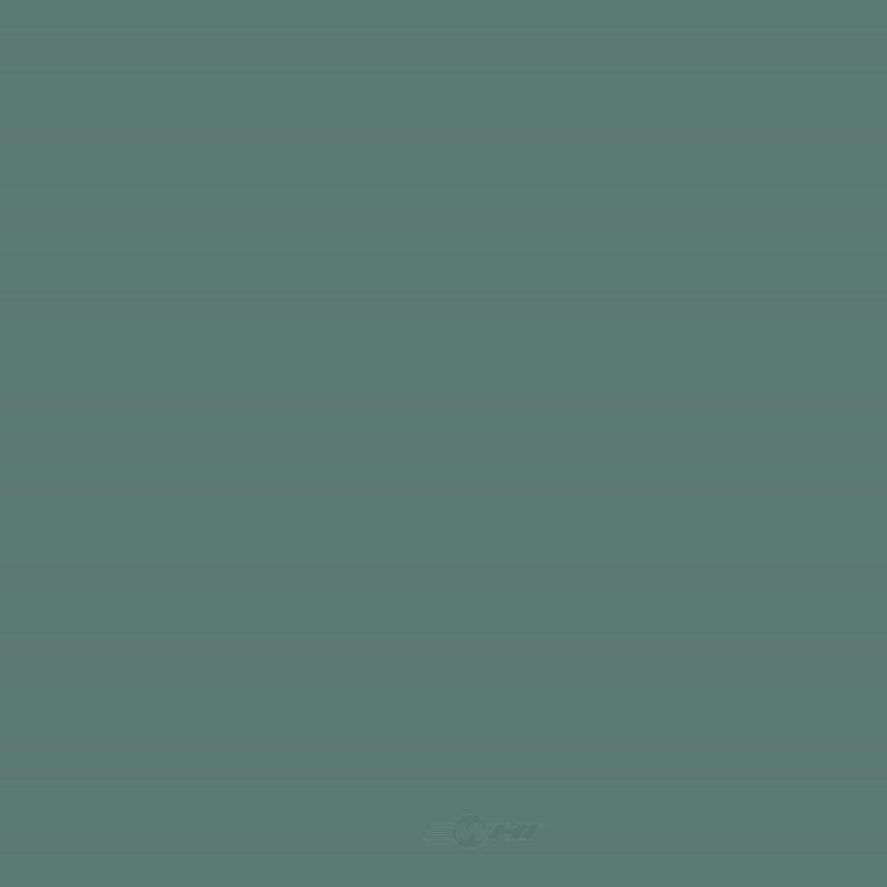 ACDELCO GM ORIGINAL EQUIPMENT - Paint - DCB - 19367845