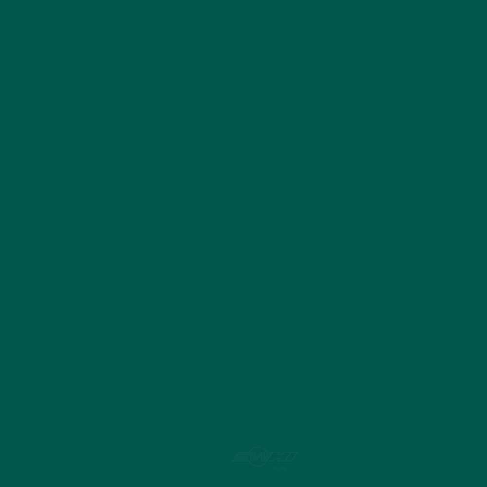 ACDELCO GM ORIGINAL EQUIPMENT - Paint - DCB - 19367877