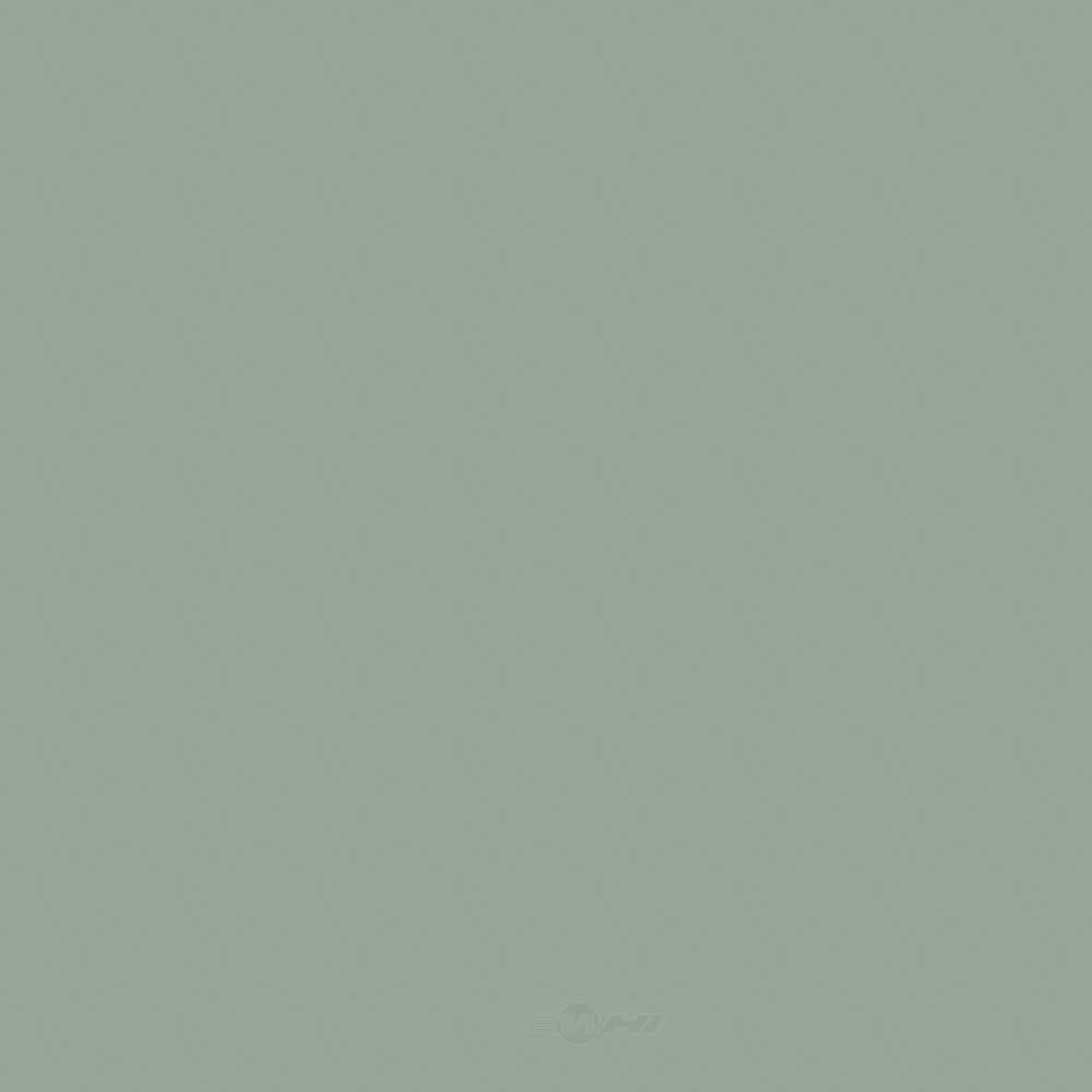 ACDELCO GM ORIGINAL EQUIPMENT - Paint - DCB - 19367904