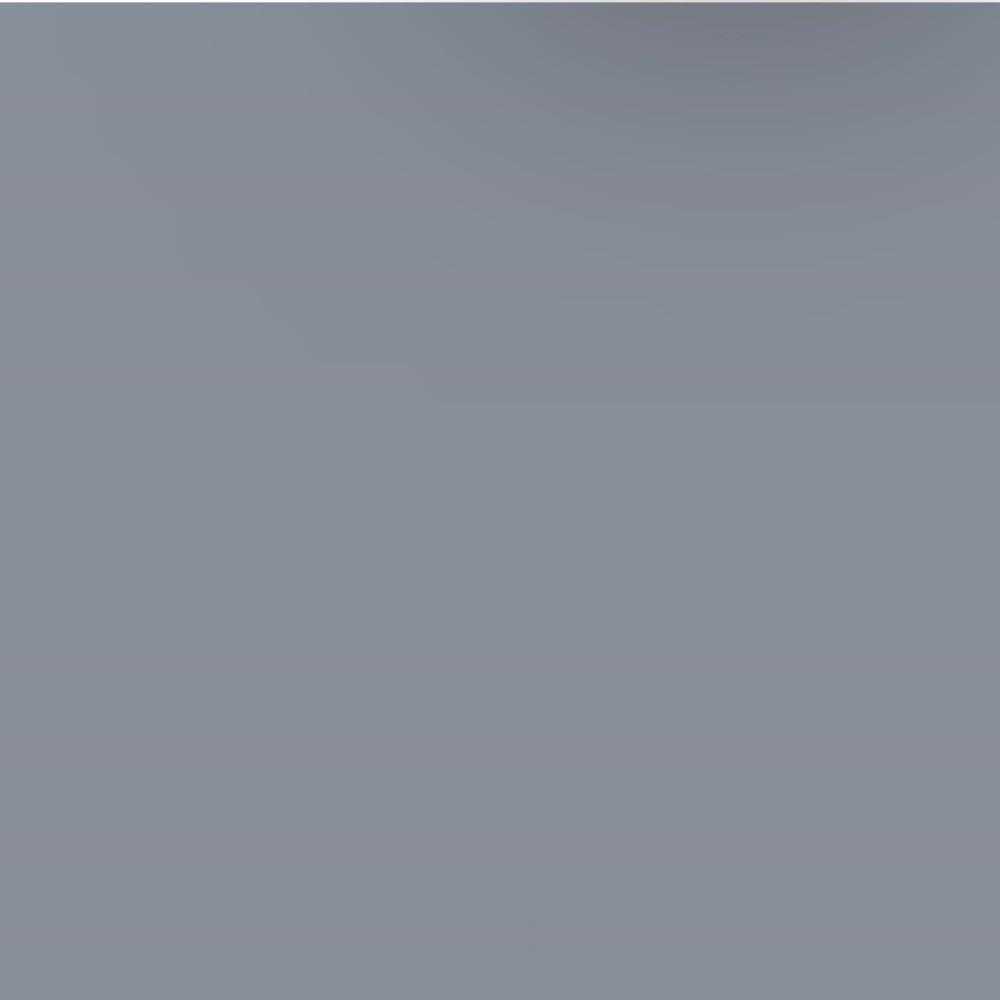 ACDELCO GM ORIGINAL EQUIPMENT - Paint - DCB - 19354565