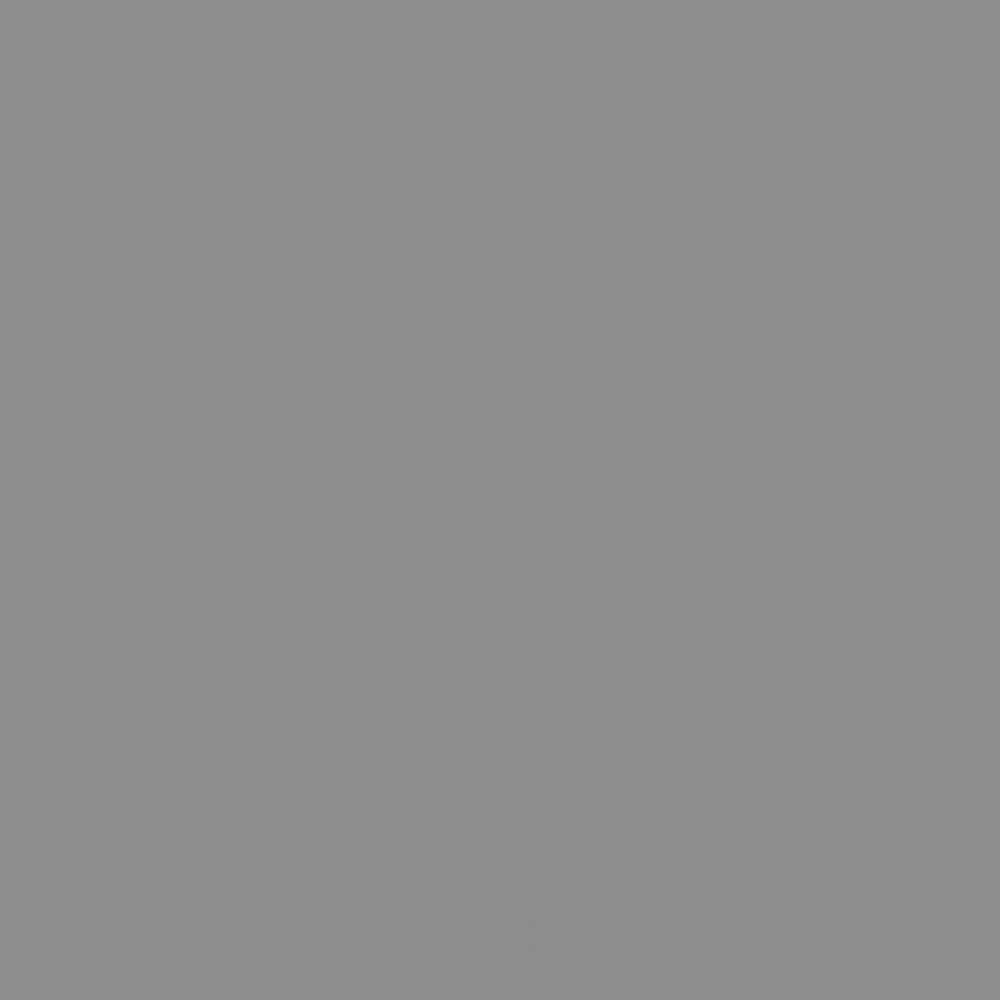 ACDELCO GM ORIGINAL EQUIPMENT - Paint - DCB - 19355104