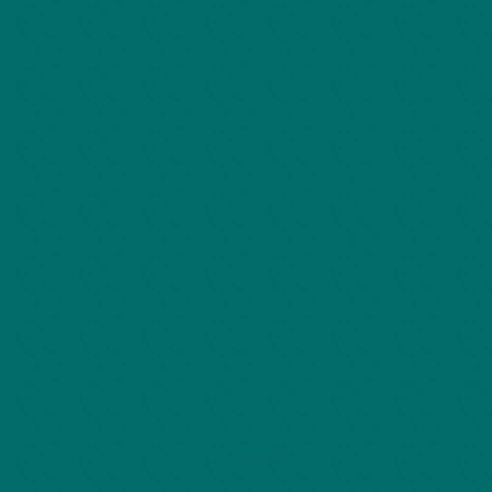 ACDELCO GM ORIGINAL EQUIPMENT - Paint - DCB - 19367752
