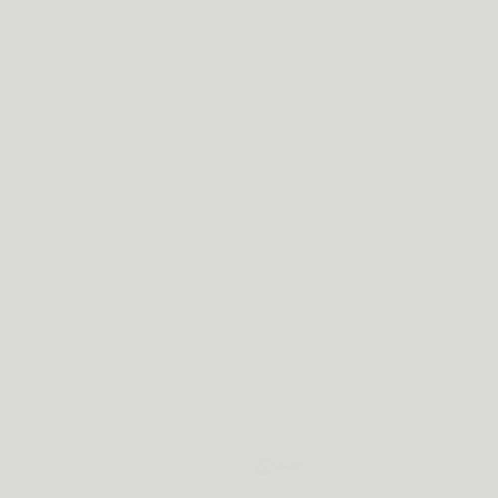 ACDELCO GM ORIGINAL EQUIPMENT - Paint - DCB - 19367860