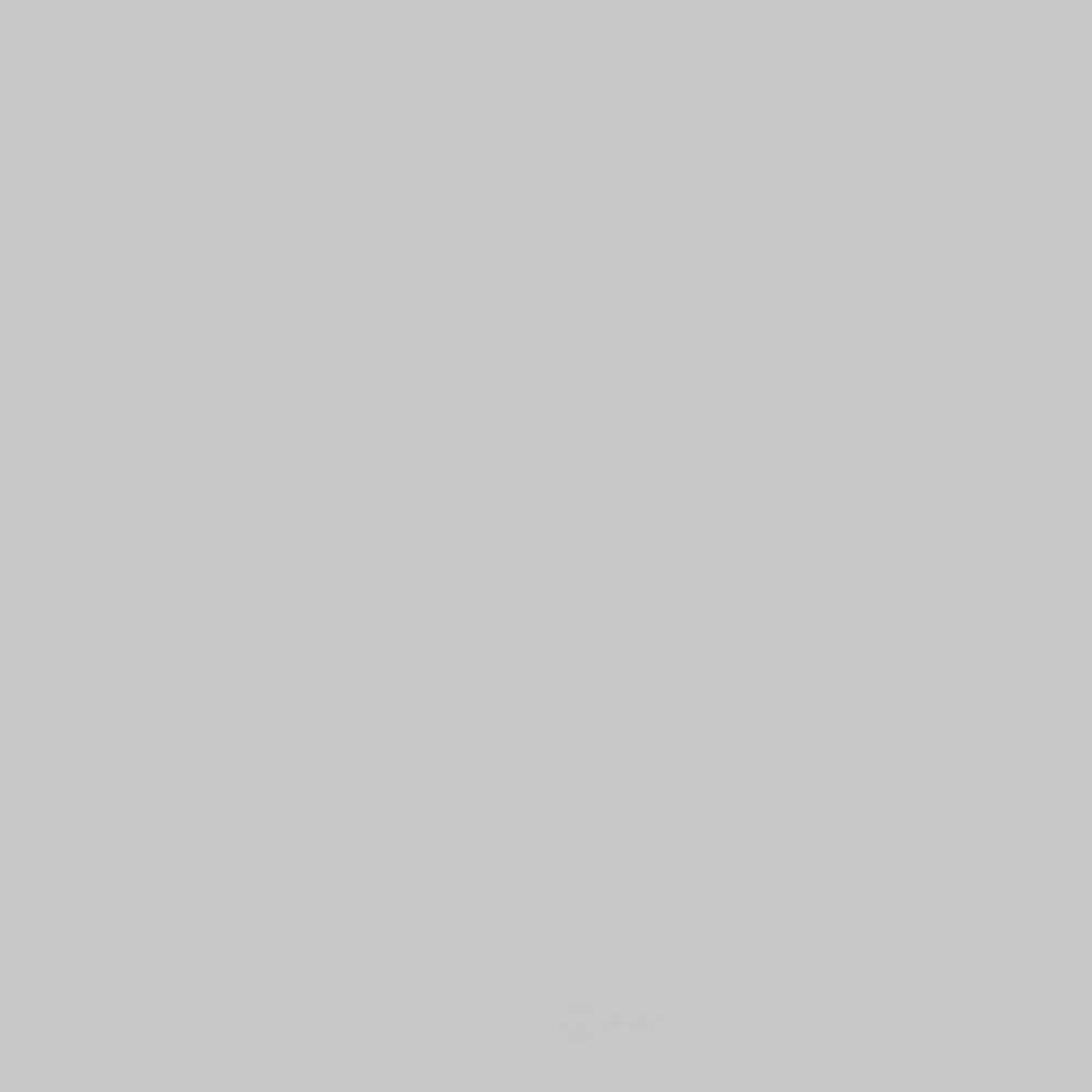 ACDELCO GM ORIGINAL EQUIPMENT - Paint - DCB - 19367830