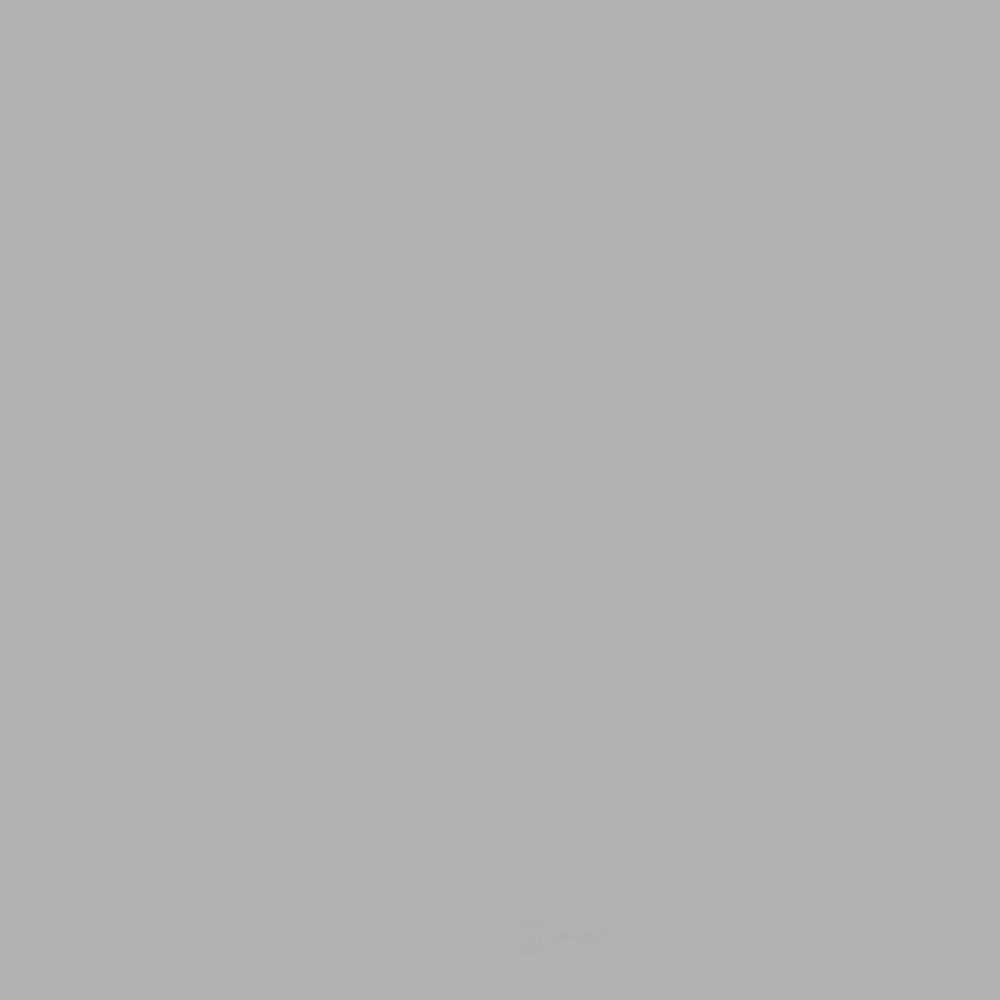 ACDELCO GM ORIGINAL EQUIPMENT - Paint - DCB - 19417768