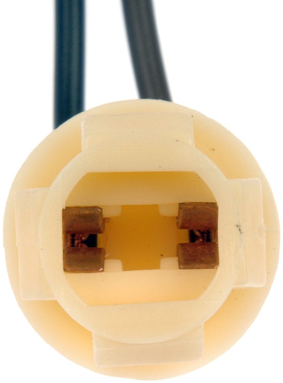 DORMAN - CONDUCT-TITE - Tail Lamp Socket - DCT 85816