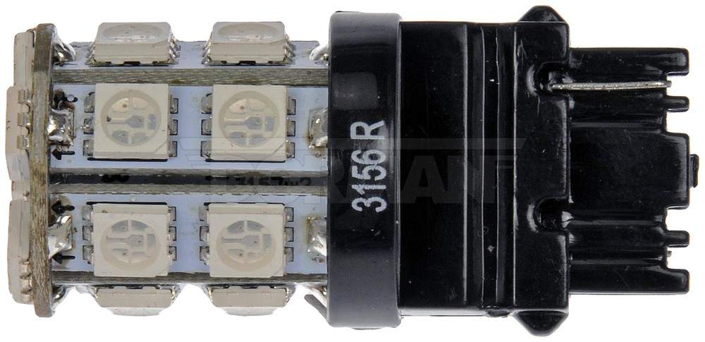 DORMAN - Cornering Light Bulb - DOR - 3156r-smd