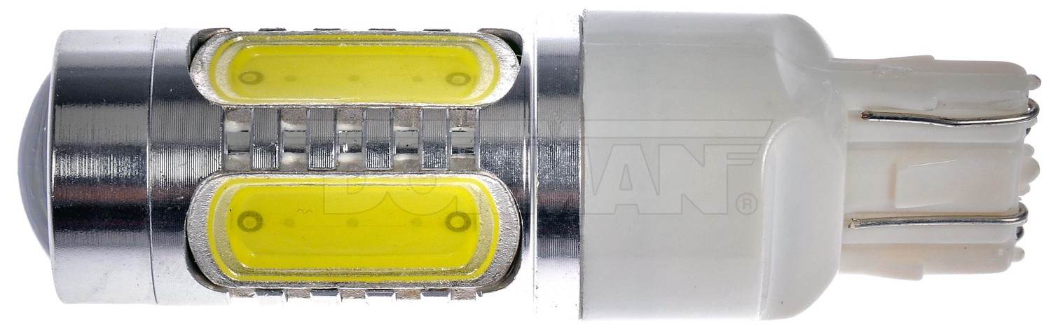 DORMAN - Daytime Running Light Bulb - DOR - 7443w-hp