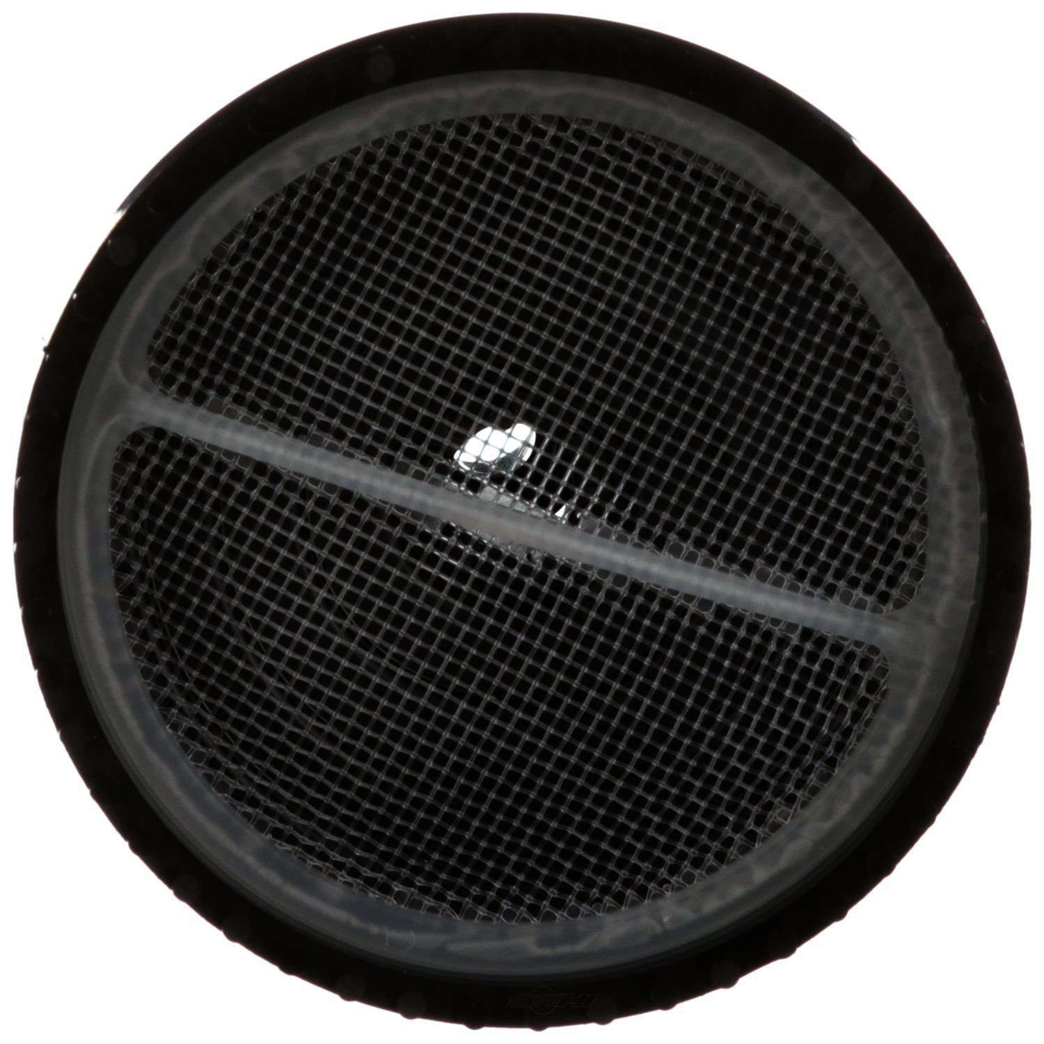 DELPHI - Fuel Pump Strainer - DPH FS0204