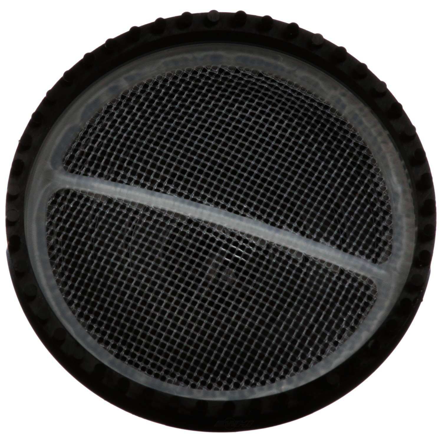 DELPHI - Fuel Pump Strainer - DPH FS0204