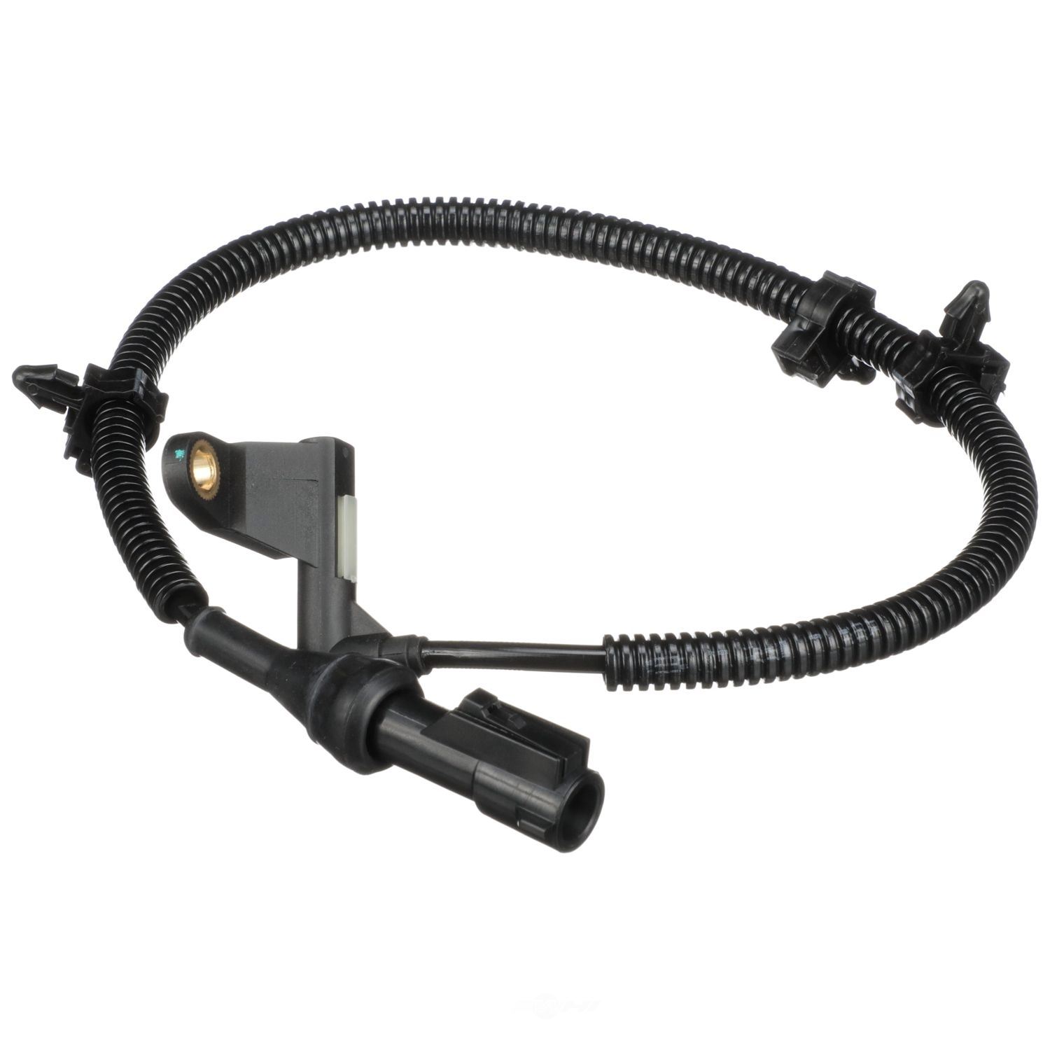 DELPHI - ABS Wheel Speed Sensor (With ABS Brakes, Rear Right) - DPH SS20148