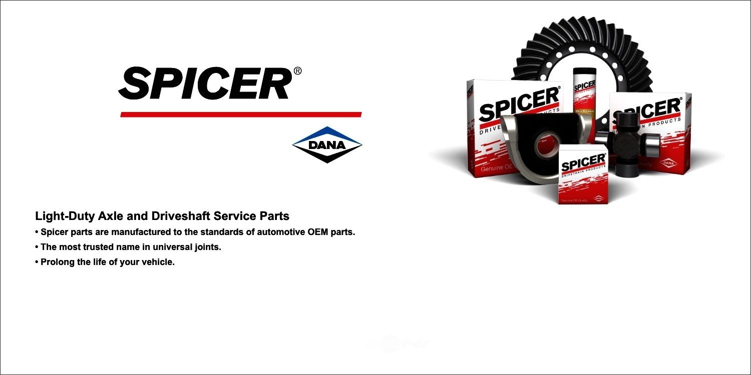 DANA SPICER - FSGR - DSP 210527X