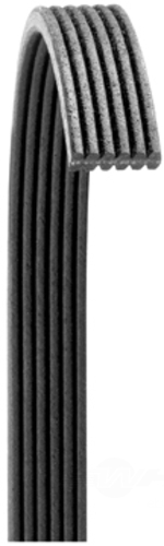 DAYCO IMPORTS 6060902 — Courroie d'accessoires