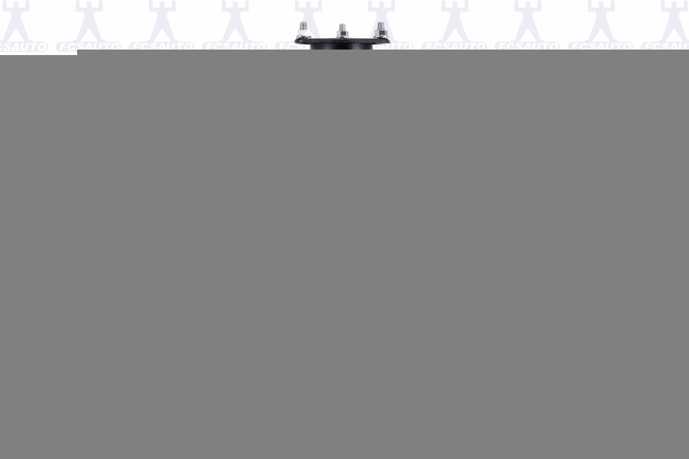 FCS AUTOMOTIVE - Suspension Strut & Coil Spring Assembly - FCS - 1331647r