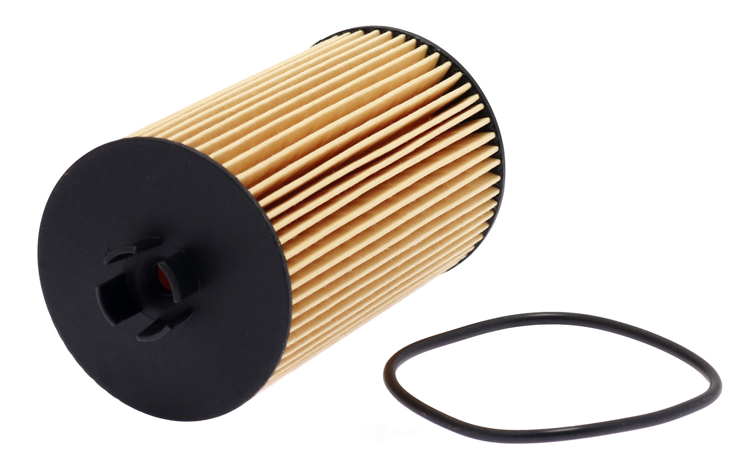 FRAM - Engine Oil Filter - FRA - ch8751