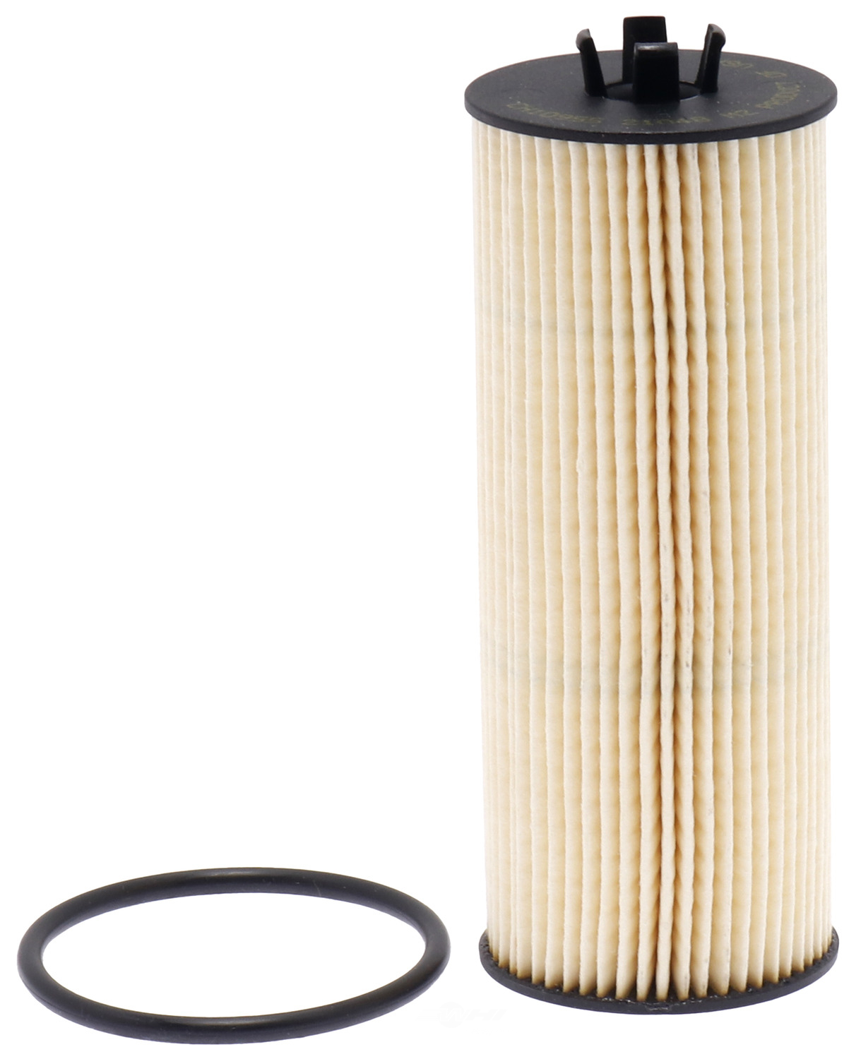 FRAM - Extra Guard Engine Oil Filter - FRA - ch10955