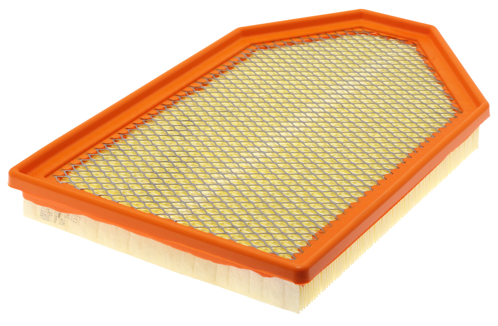 FRAM - Extra Guard Air Filter - FRA - ca11257