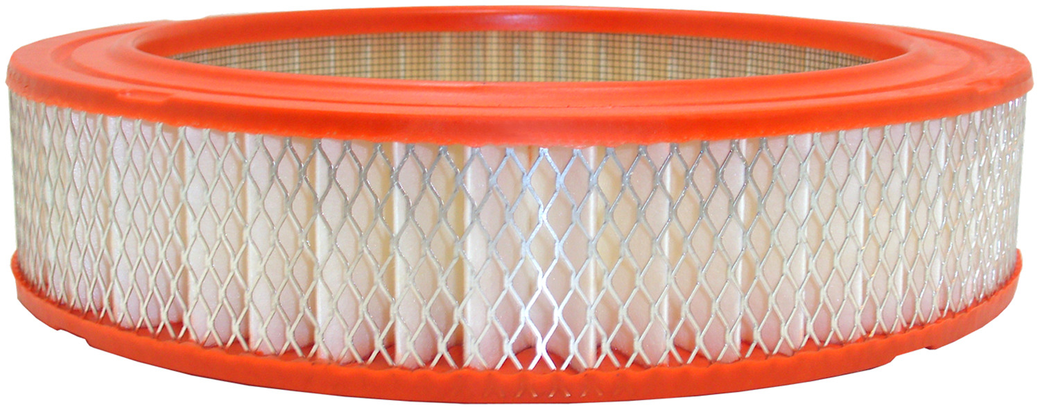 FRAM - Extra Guard Air Filter - FRA - ca4325