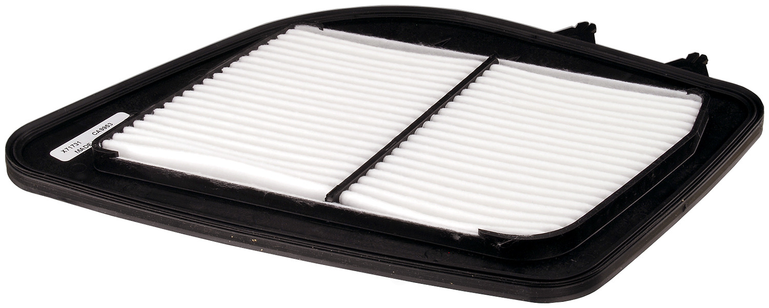 FRAM - Extra Guard Air Filter - FRA - ca9953