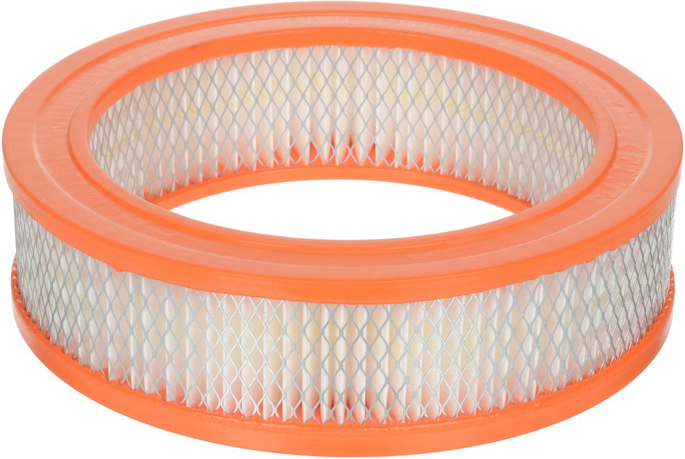 FRAM - Extra Guard Air Filter - FRA - ca160