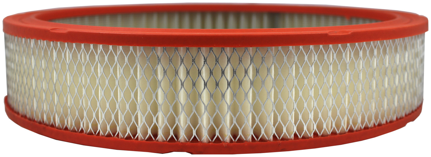 FRAM - Extra Guard Air Filter - FRA - ca325