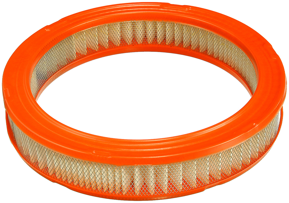 FRAM - Extra Guard Air Filter - FRA - ca3649