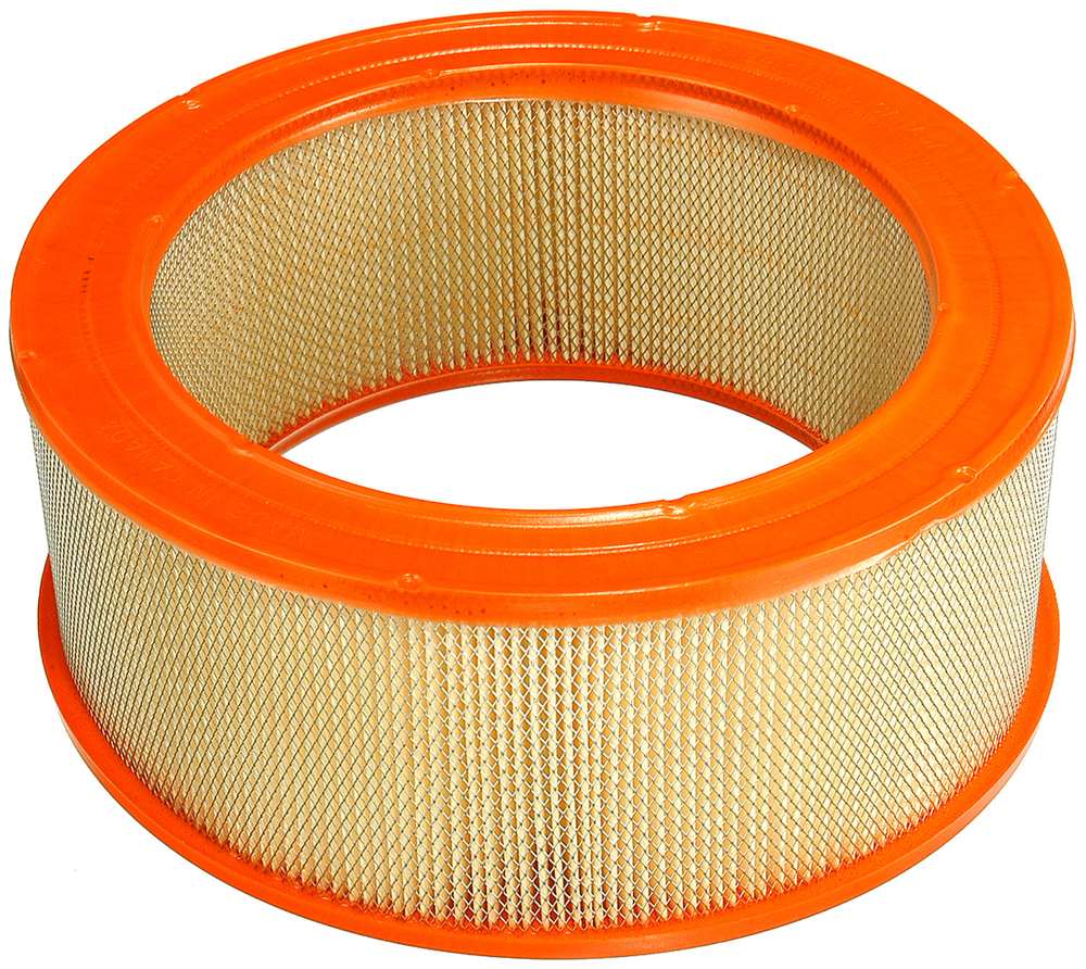 FRAM - Extra Guard Air Filter - FRA - ca151