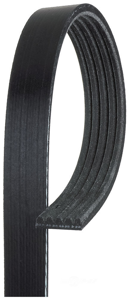 GATES - Premium OE Micro-V Belt - GAT K050419