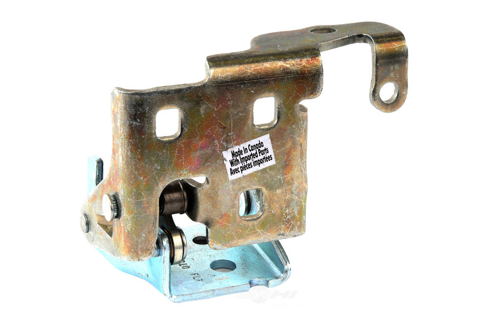 GM GENUINE PARTS - Door Hinge (Front Right Lower) - GMP 20969646
