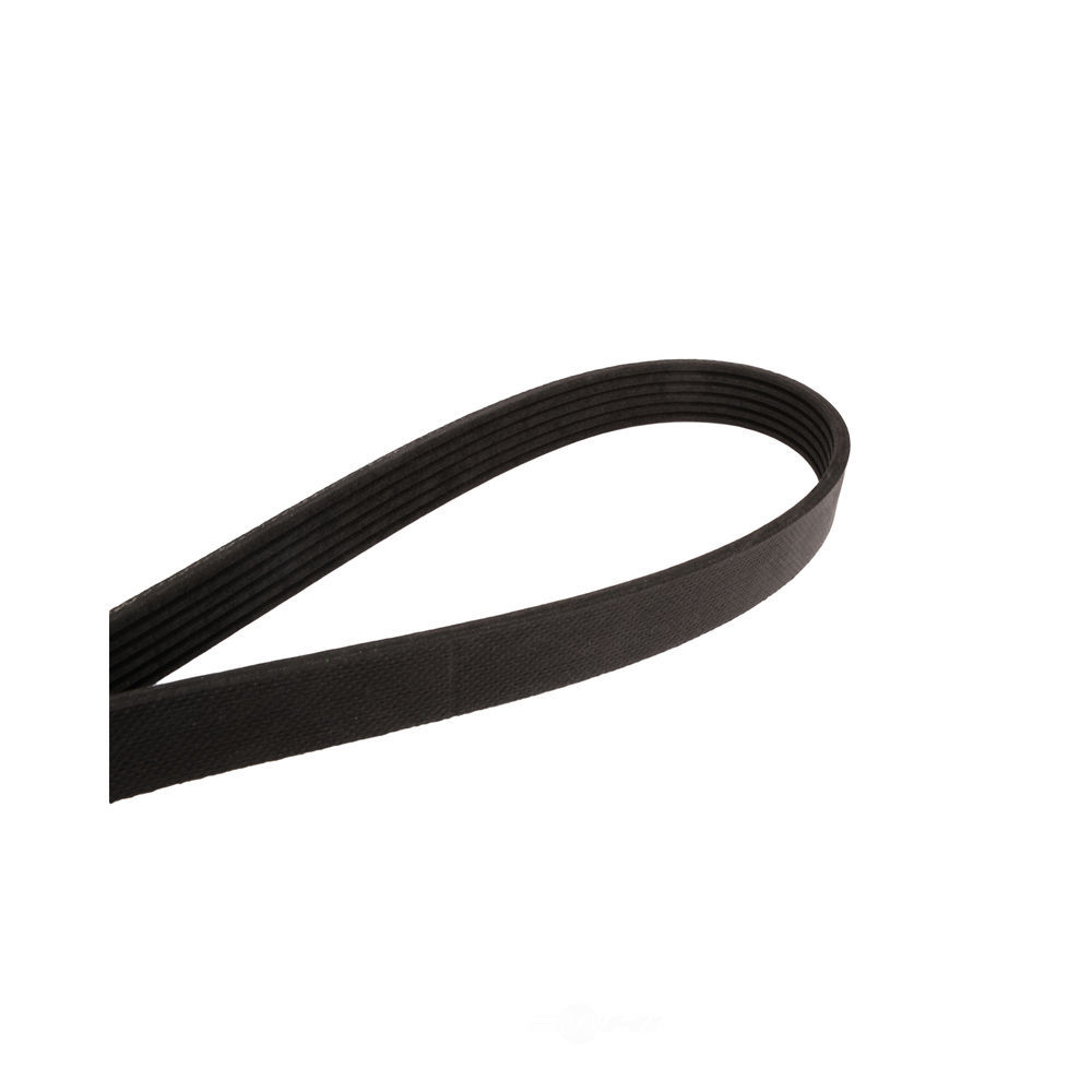 CONTINENTAL - Multi-V Stretch Belt (Fan) - GOO 4060293S