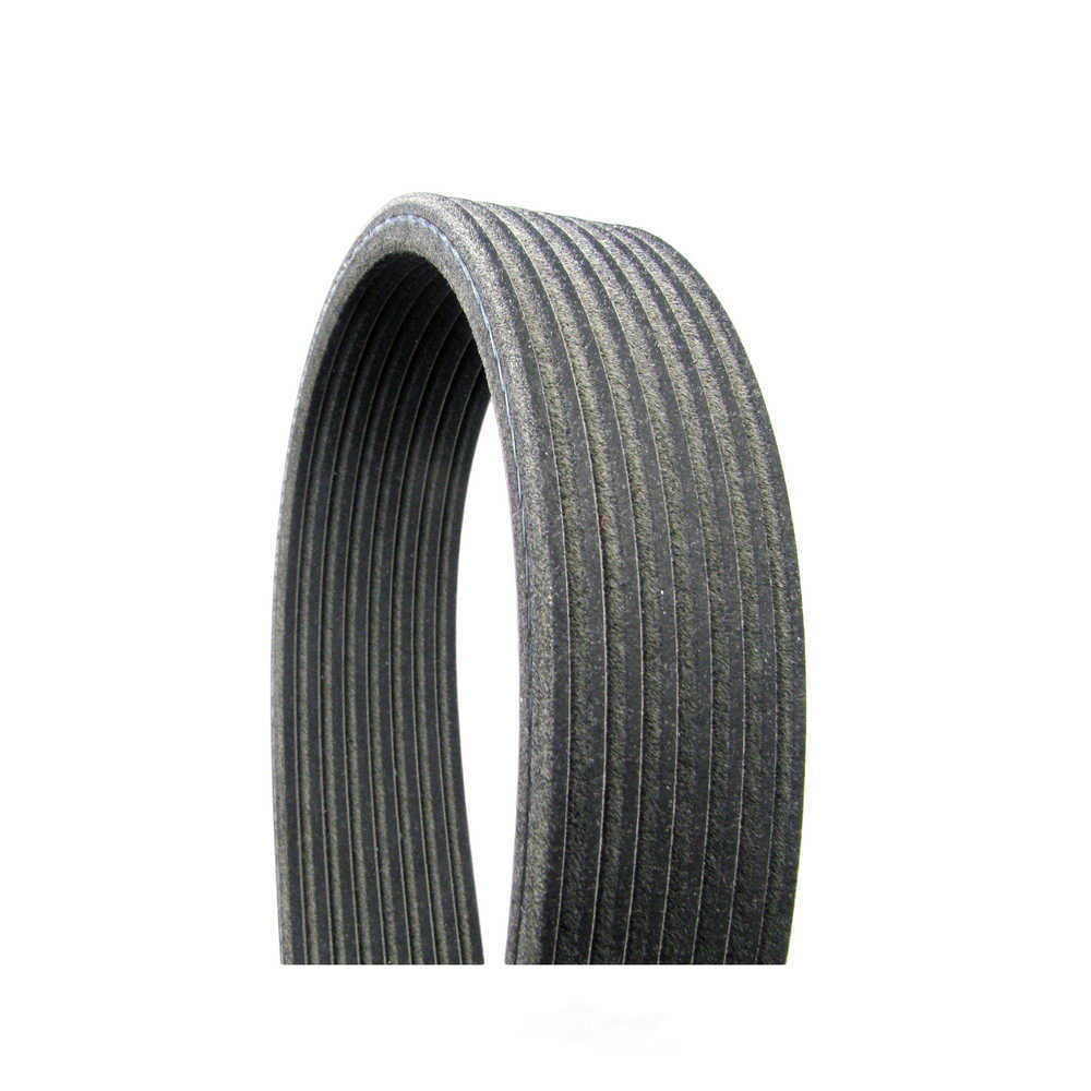 CONTINENTAL ELITE D4080569 — Courroie d'accessoires