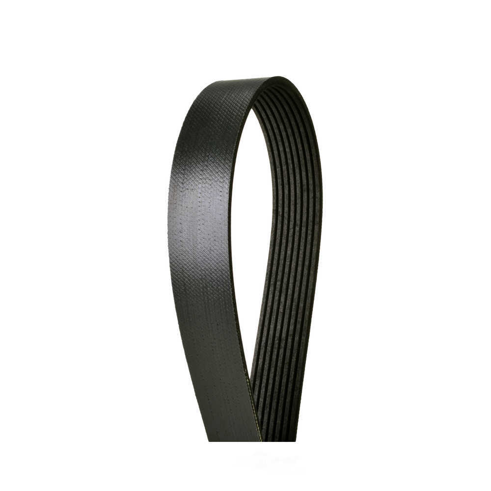 CONTINENTAL ELITE 4080582 — Courroie d'accessoires