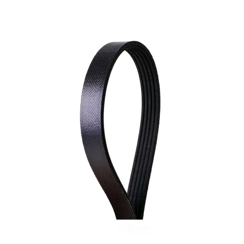 CONTINENTAL ELITE 4050685 — Courroie d'accessoires