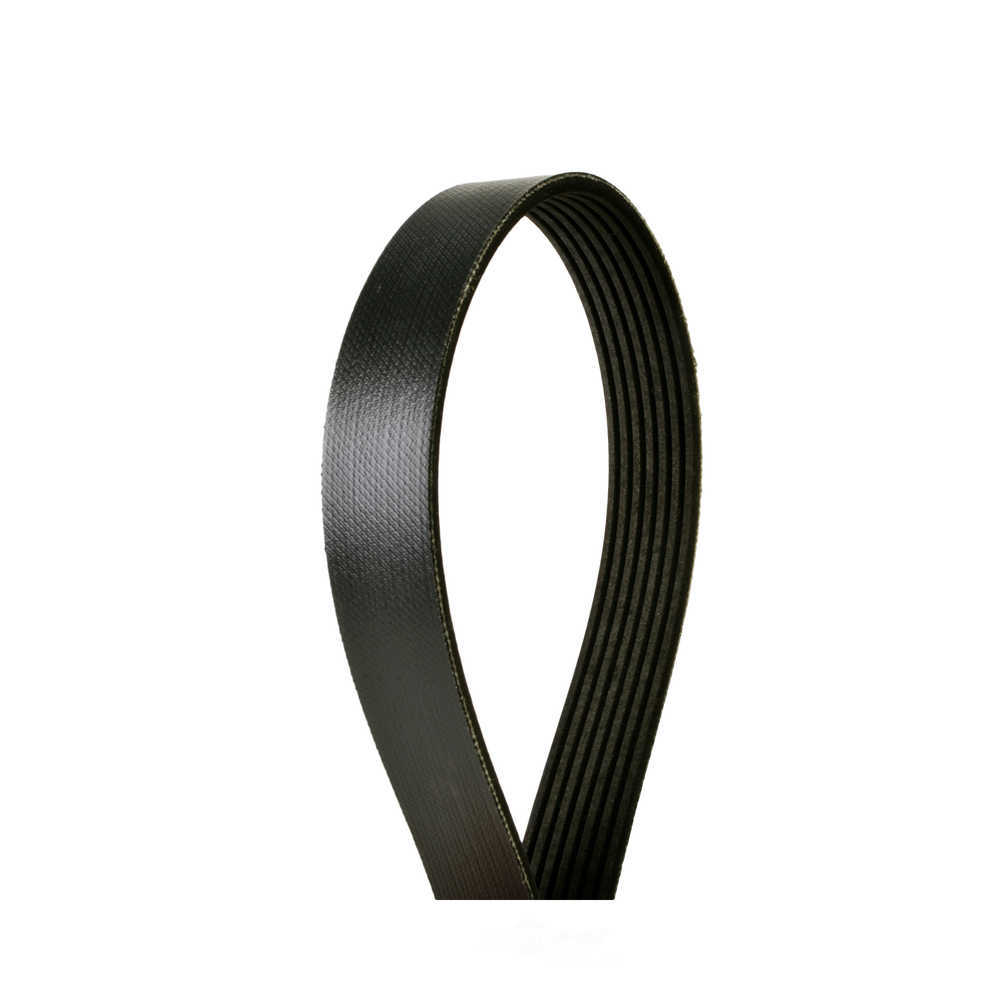 CONTINENTAL ELITE 4070443 — Serpentine Belt