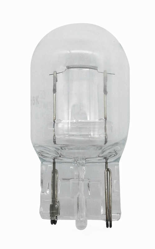 HELLA - Fog Light Bulb (Rear) - HLA 7440TB