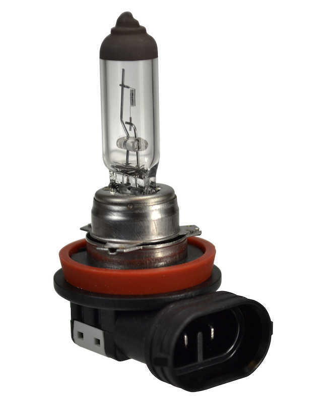 HELLA - Fog Light Bulb (Rear) - HLA H16