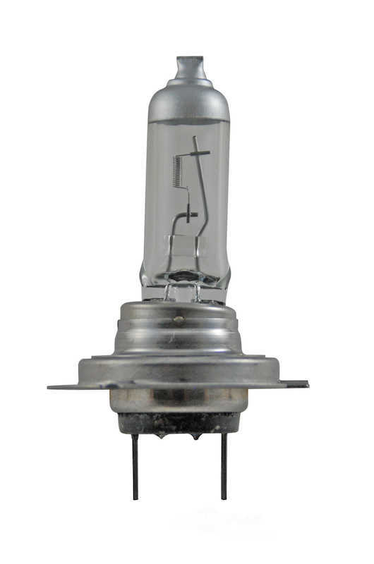 HELLA - Headlight Bulb - HLA H7P50