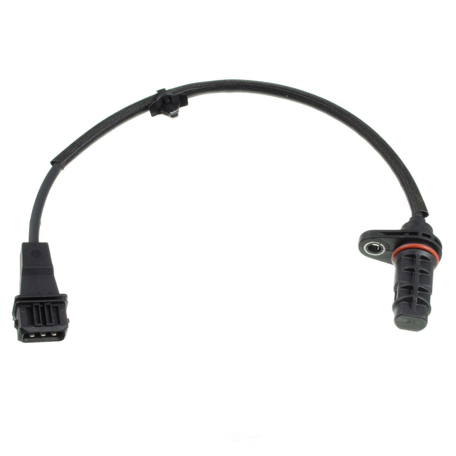 HOLSTEIN - Engine Crankshaft Position Sensor - HLN 2CRK0146