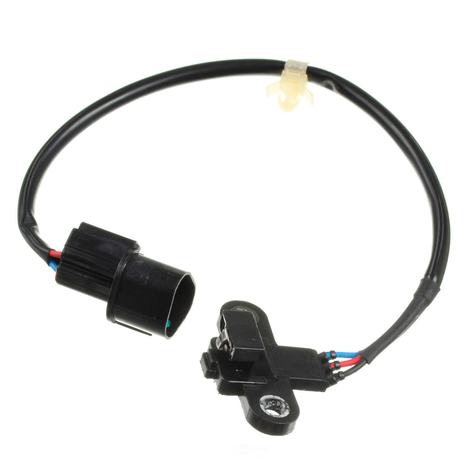 HOLSTEIN - Engine Crankshaft Position Sensor - HLN 2CRK0274