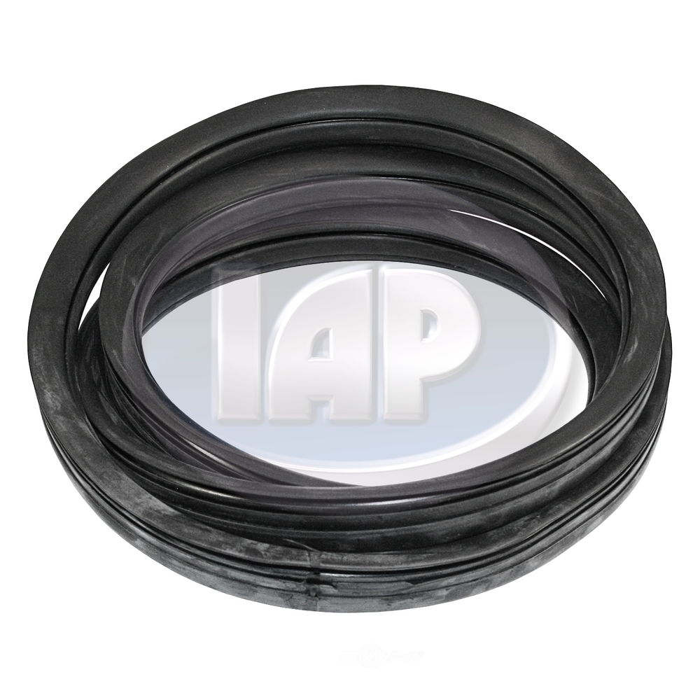 IAP/KUHLTEK MOTORWERKS - Back Glass Seal (Rear) - KMS 113845521B