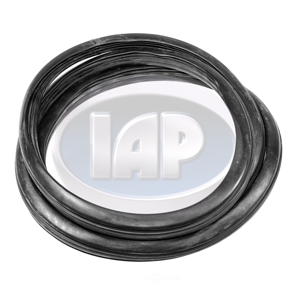 IAP/KUHLTEK MOTORWERKS - Back Glass Seal (Rear) - KMS 113845521J