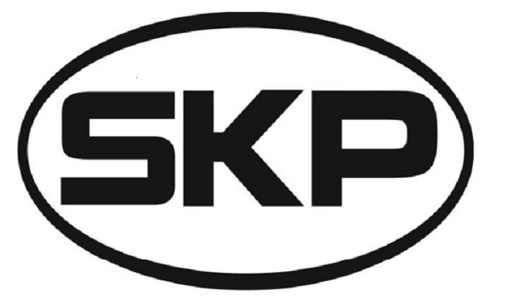 SKP - EGR Valve Gasket - SKP SKVG6