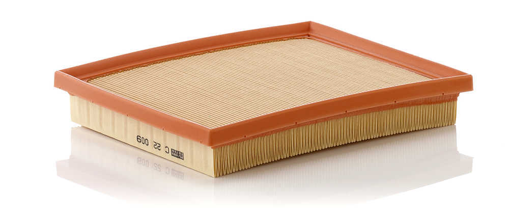 MANN-FILTER C22009 — Filtre à air du moteur